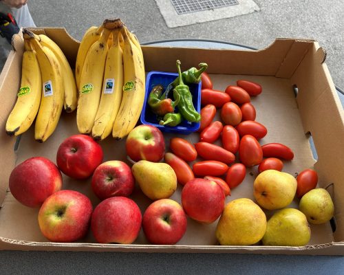 Obst- und Gemüsekiste von Naturverkostung Bio Laden